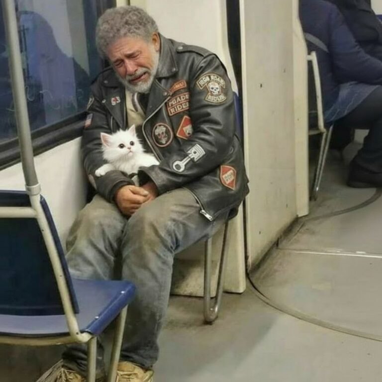 He Wore Leather and Had Tattoos, but He Was Crying Quietly on the Train ...
